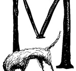 Kate DiCamillo, "Because of Winn-Dixie". Custom lettering, hand-drawn drop-caps